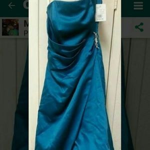 Brand new Brides maids dresses from David’s bridal